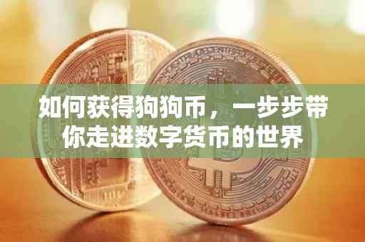 如何获得狗狗币，一步步带你走进数字货币的世界