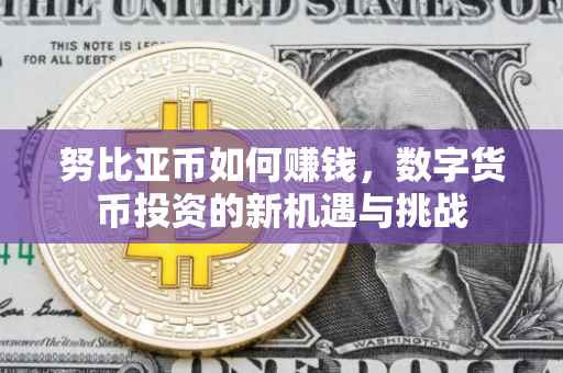 努比亚币如何赚钱，数字货币投资的新机遇与挑战