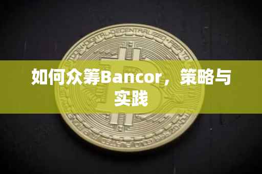 如何众筹Bancor，策略与实践