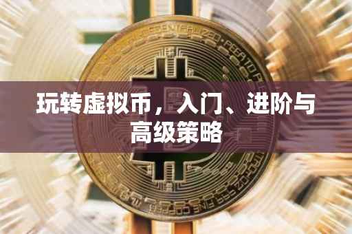 玩转虚拟币，入门、进阶与高级策略