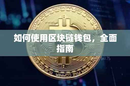 如何使用区块链钱包，全面指南
