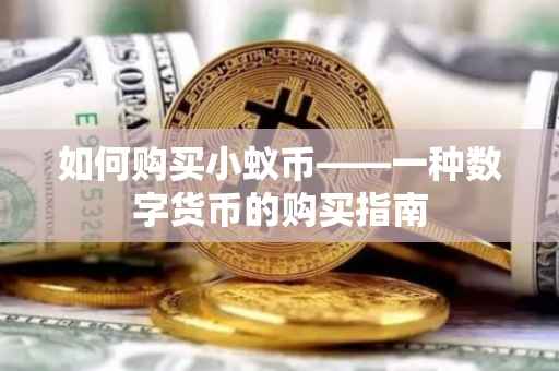 如何购买小蚁币——一种数字货币的购买指南