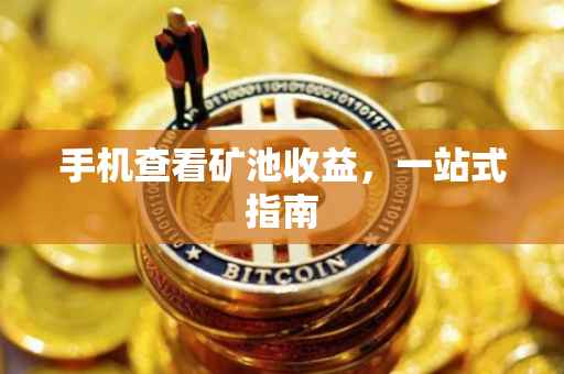 手机查看矿池收益，一站式指南