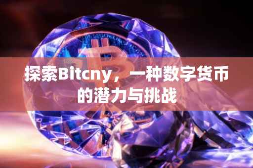 探索Bitcny，一种数字货币的潜力与挑战
