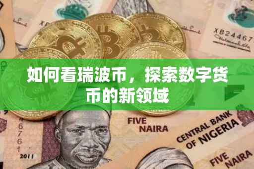 如何看瑞波币，探索数字货币的新领域