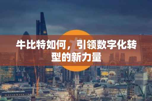 牛比特如何，引领数字化转型的新力量