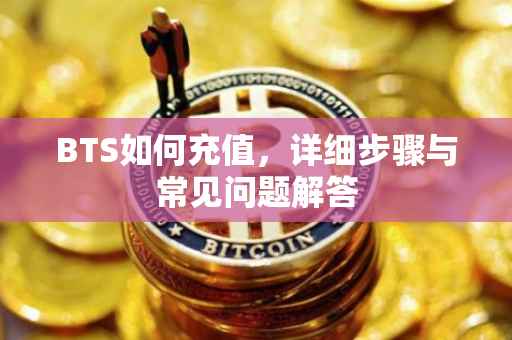 BTS如何充值，详细步骤与常见问题解答
