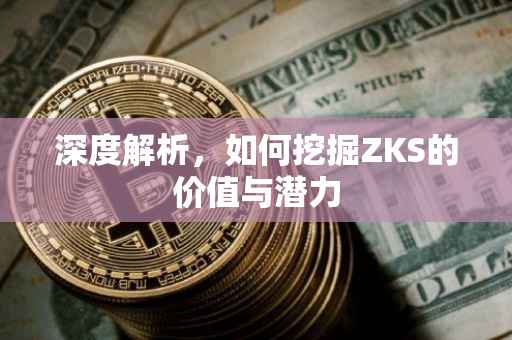 深度解析，如何挖掘ZKS的价值与潜力