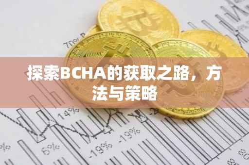 探索BCHA的获取之路，方法与策略