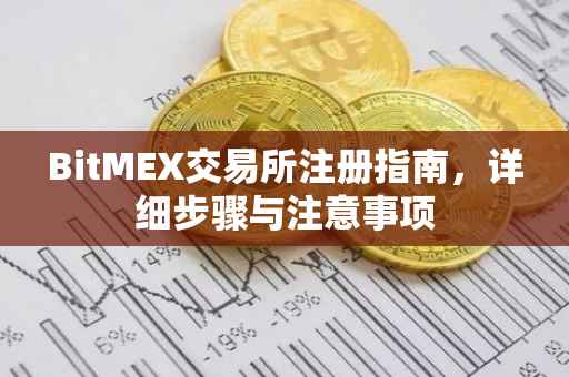 BitMEX交易所注册指南，详细步骤与注意事项