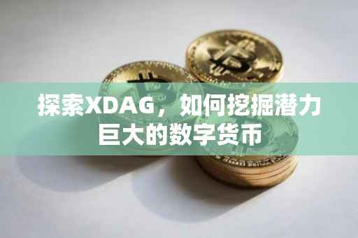 探索XDAG，如何挖掘潜力巨大的数字货币