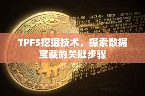 TPFS挖掘技术，探索数据宝藏的关键步骤
