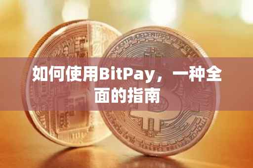 如何使用BitPay，一种全面的指南