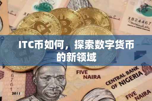 ITC币如何，探索数字货币的新领域