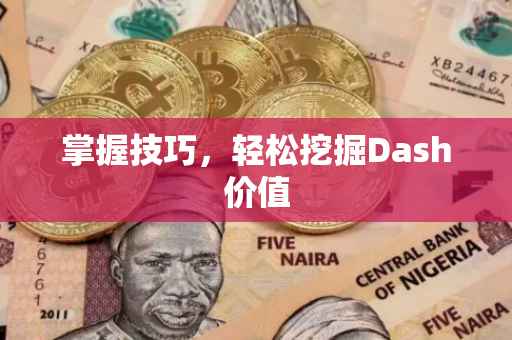 掌握技巧，轻松挖掘Dash价值