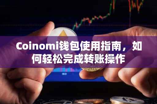 Coinomi钱包使用指南，如何轻松完成转账操作