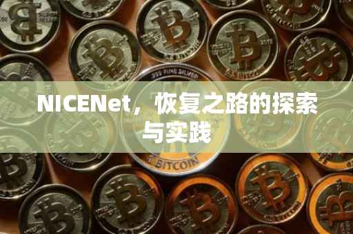 NICENet，恢复之路的探索与实践