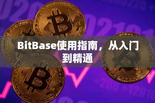 BitBase使用指南，从入门到精通