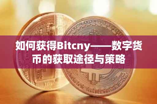如何获得Bitcny——数字货币的获取途径与策略