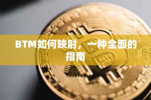 BTM如何映射，一种全面的指南