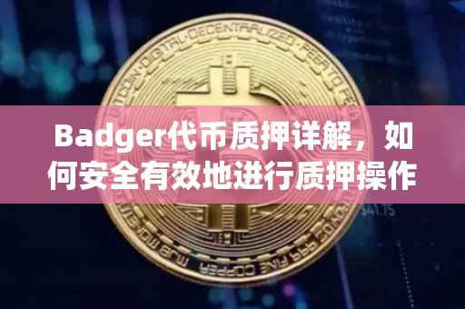 Badger代币质押详解，如何安全有效地进行质押操作