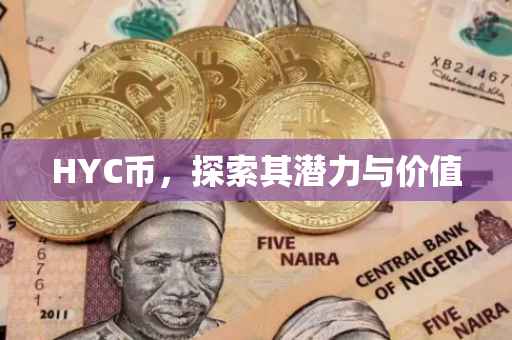 HYC币，探索其潜力与价值