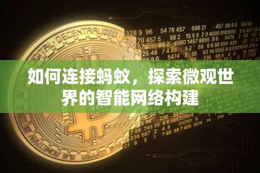 如何连接蚂蚁，探索微观世界的智能网络构建