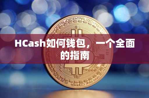 HCash如何钱包，一个全面的指南
