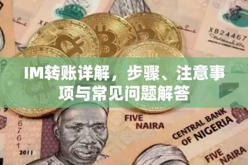 IM转账详解，步骤、注意事项与常见问题解答