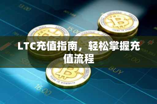 LTC充值指南，轻松掌握充值流程