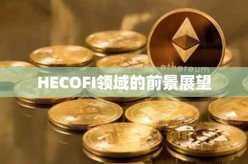 HECOFI领域的前景展望