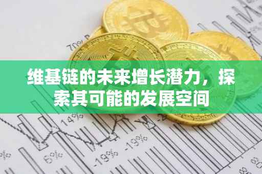 维基链的未来增长潜力，探索其可能的发展空间