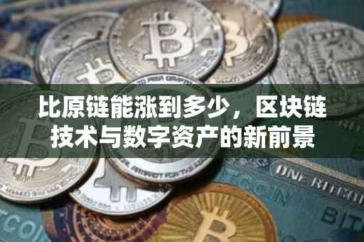 比原链能涨到多少，区块链技术与数字资产的新前景