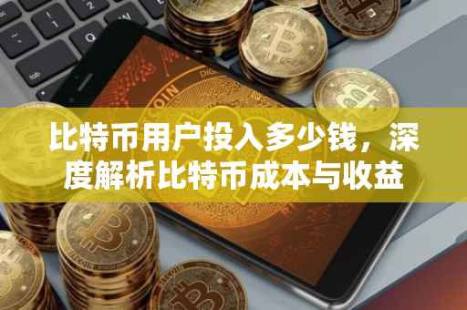 比特币用户投入多少钱，深度解析比特币成本与收益