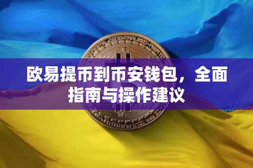 欧易提币到币安钱包，全面指南与操作建议
