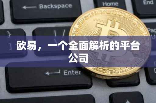 欧易，一个全面解析的平台公司