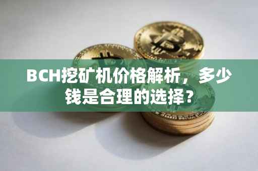 BCH挖矿机价格解析，多少钱是合理的选择？