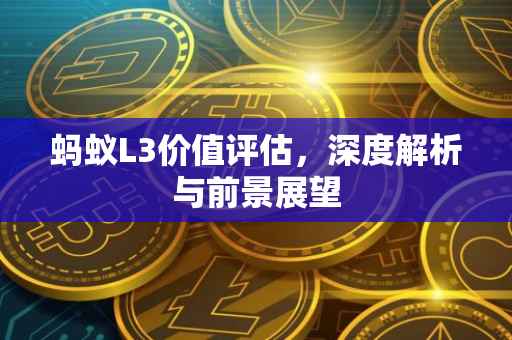 蚂蚁L3价值评估，深度解析与前景展望