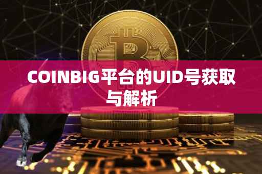 COINBIG平台的UID号获取与解析
