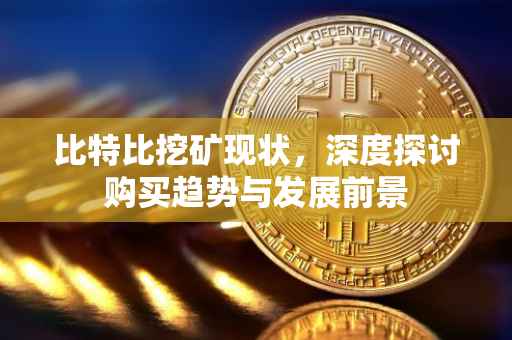 比特比挖矿现状，深度探讨购买趋势与发展前景