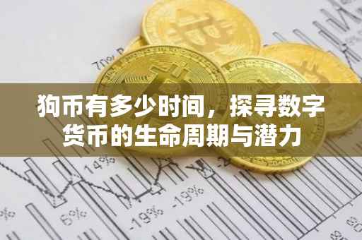 狗币有多少时间，探寻数字货币的生命周期与潜力