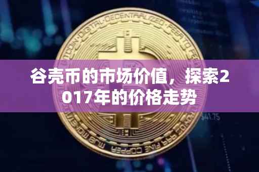 谷壳币的市场价值，探索2017年的价格走势
