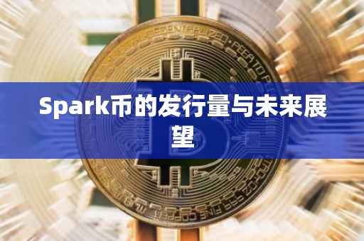 Spark币的发行量与未来展望