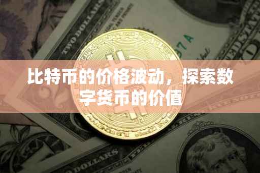 比特币的价格波动，探索数字货币的价值