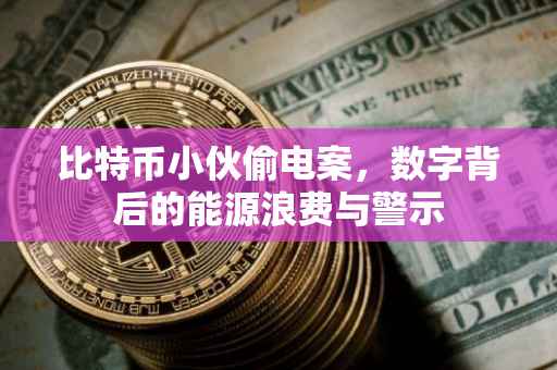 比特币小伙偷电案，数字背后的能源浪费与警示