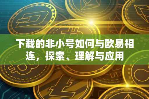 下载的非小号如何与欧易相连，探索、理解与应用