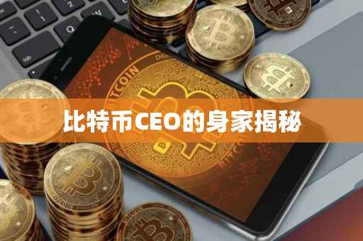 比特币CEO的身家揭秘