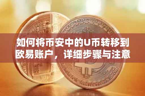 如何将币安中的U币转移到欧易账户，详细步骤与注意事项