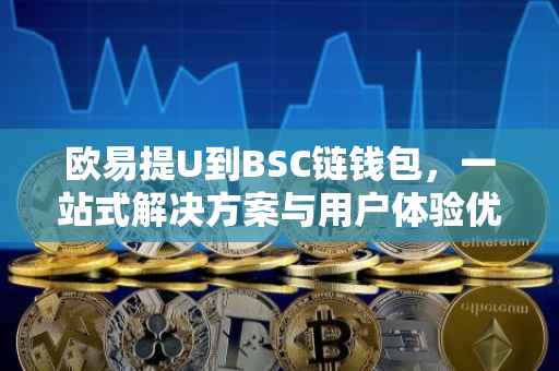 欧易提U到BSC链钱包，一站式解决方案与用户体验优化