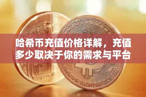 哈希币充值价格详解，充值多少取决于你的需求与平台选择